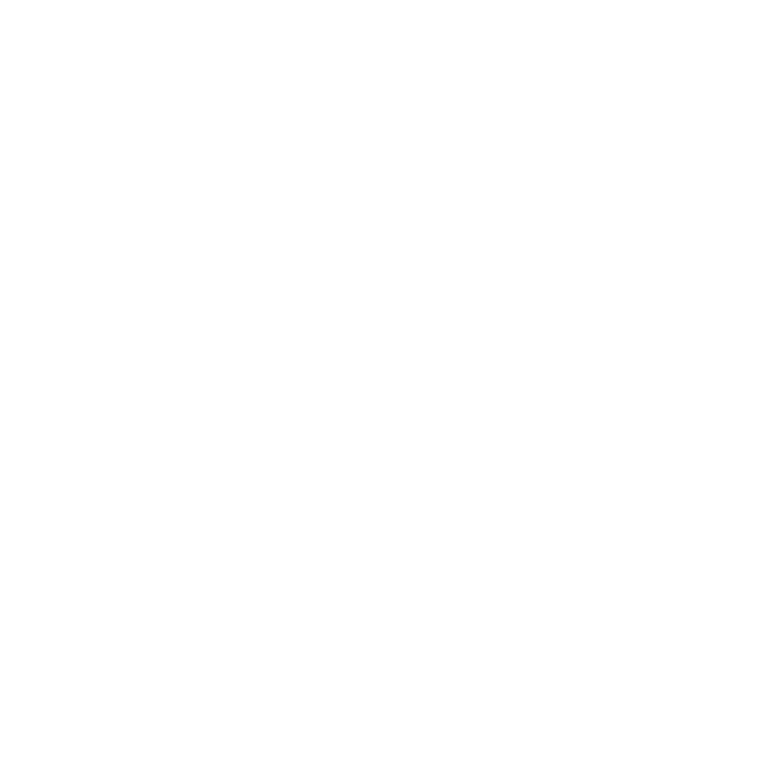 Penti logo