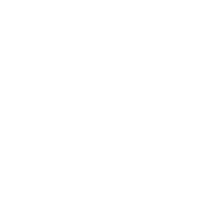 Roman logo