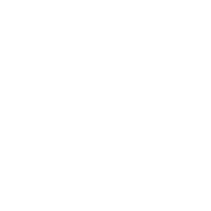 Selamlique logo